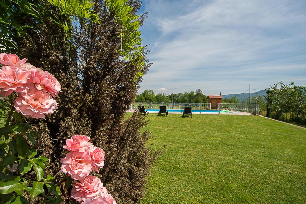 Agriturismo Il Musaccio, view 1